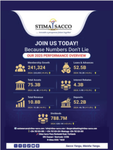 Stima DT Sacco